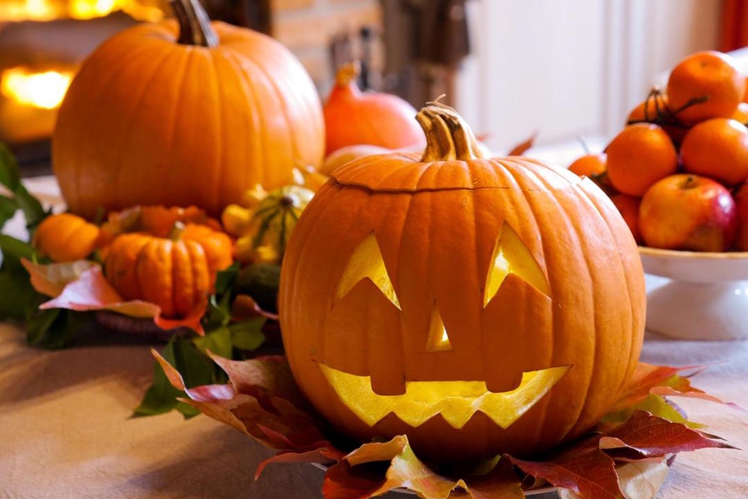 Photo of Others in Jargeau