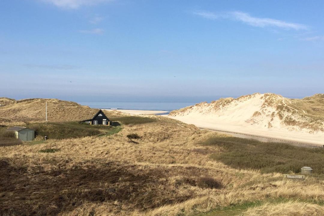 Photo of Outdoor in Henne Strand