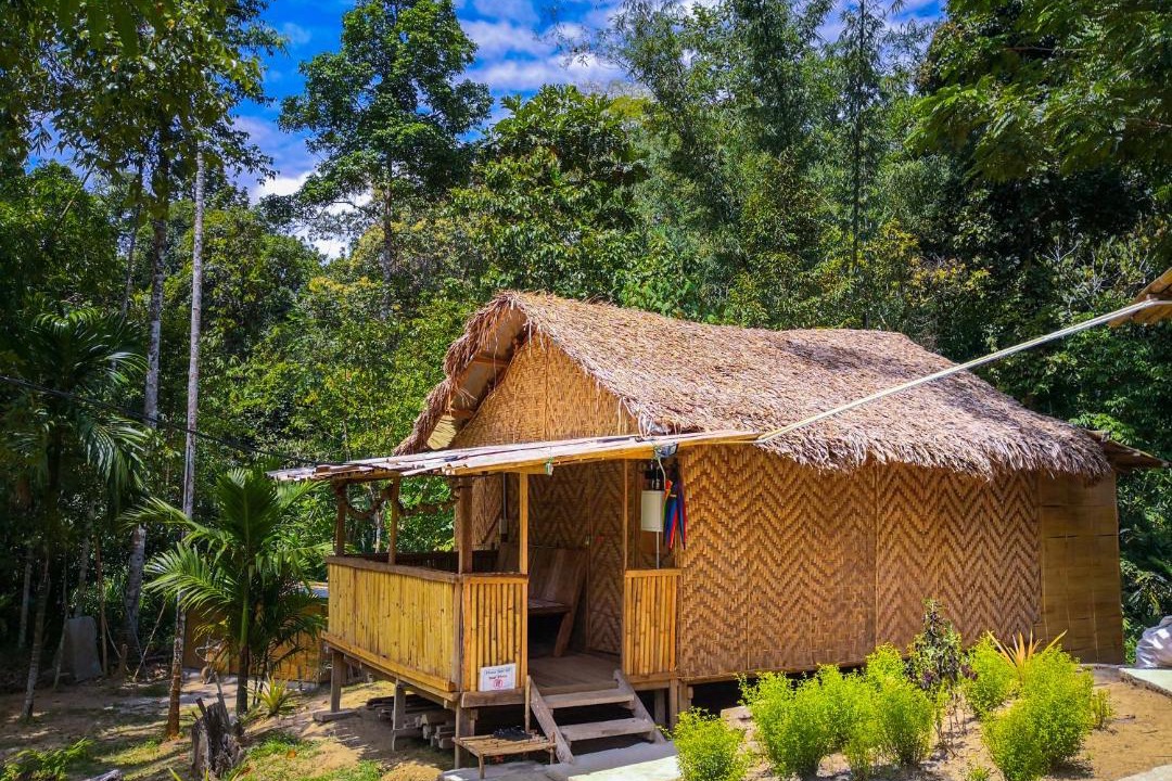 Photo of Others in Ringlet