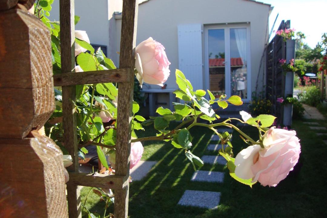 Photo of Others in Bretignolles-sur-Mer
