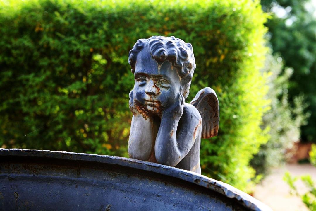 Photo of Others in Krondorf