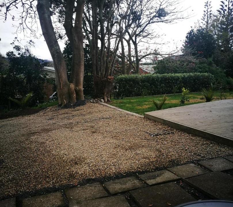 Photo of Others in Waihi Beach