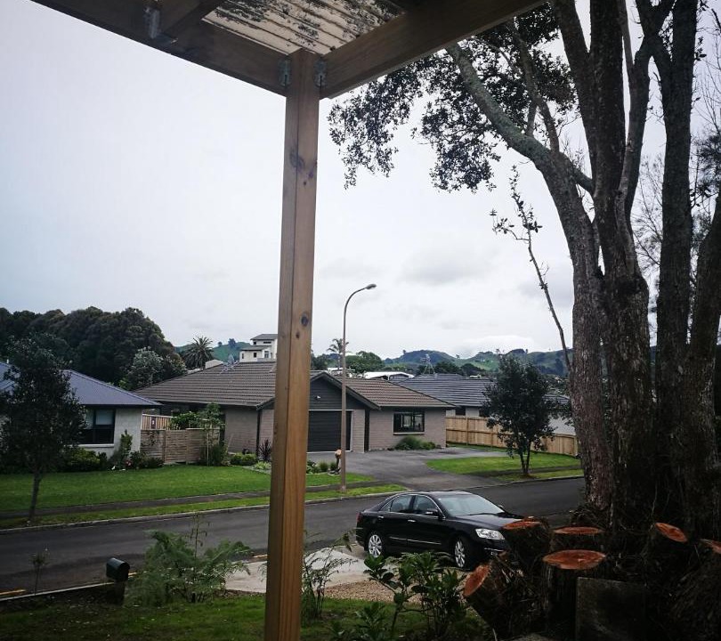 Photo of Others in Waihi Beach