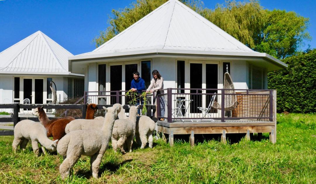 Photo of Others in Kaiapoi