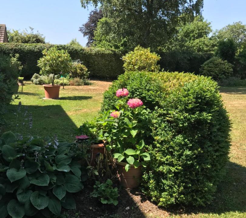 Photo of Others in Holworth