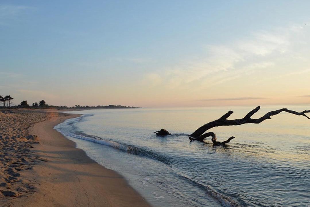 Photo of Others in Solaro