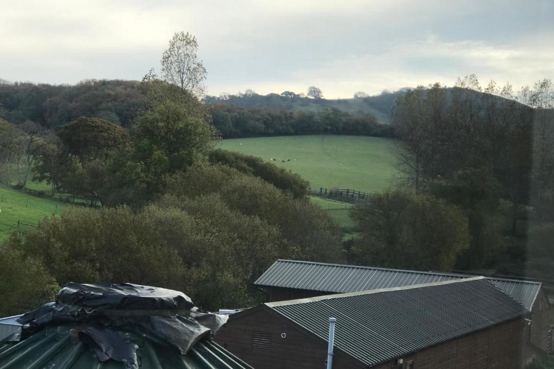 Photo of Others in Godshill