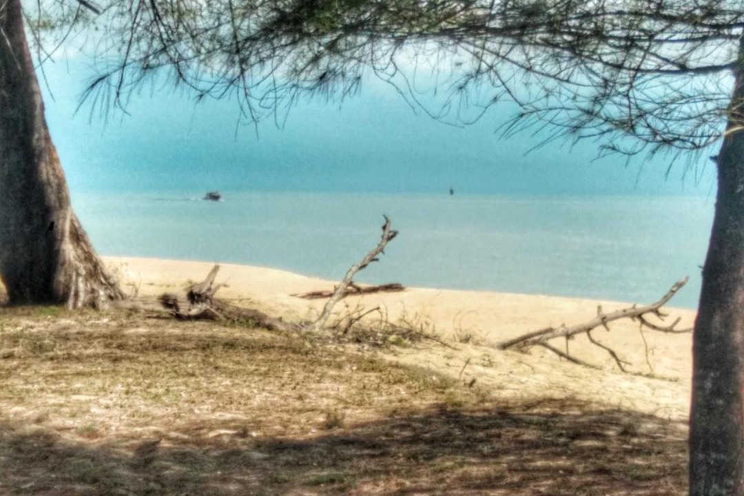 Photo of Others in Setiu