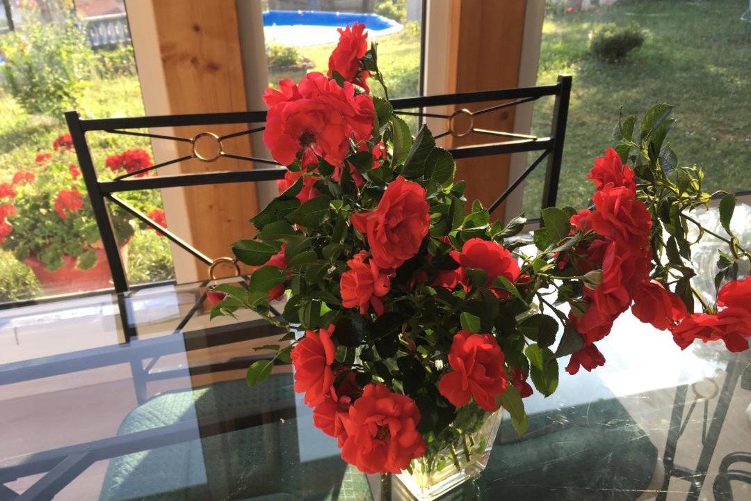 Photo of Patio Balcony in Saint-Clair-du-Rhone