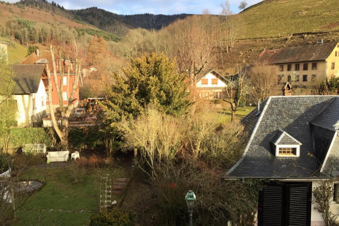 Photo of Others in Saint-Philippe