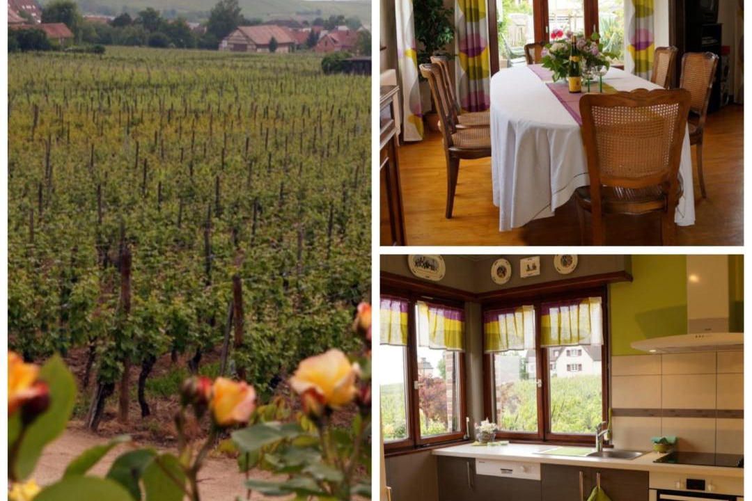 Photo of Others in Riquewihr