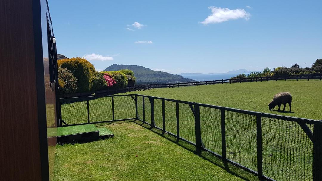 Photo of Others in Omori