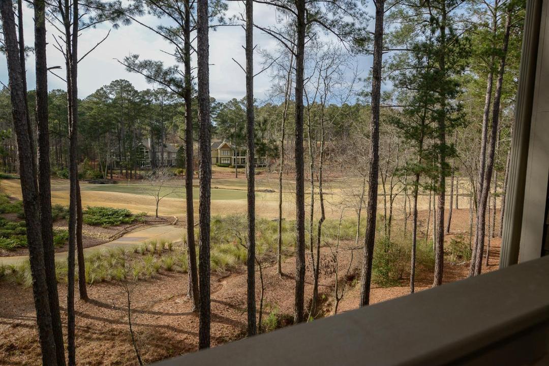 Photo of Others in Greensboro