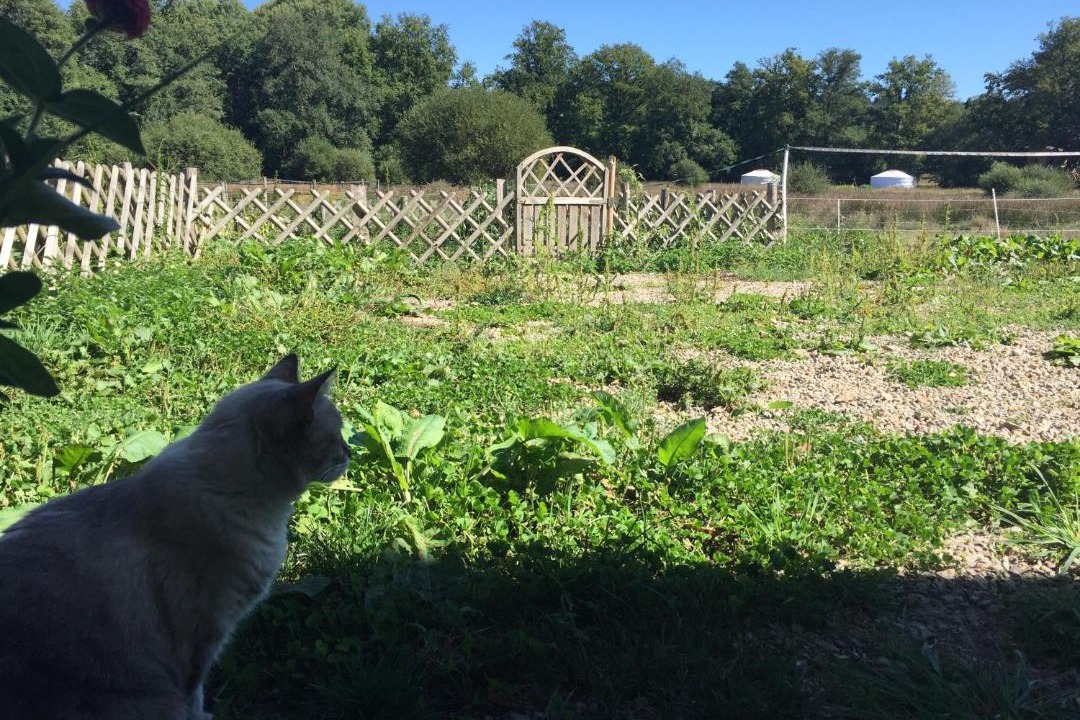 Photo of Others in Peyrat-le-Chateau