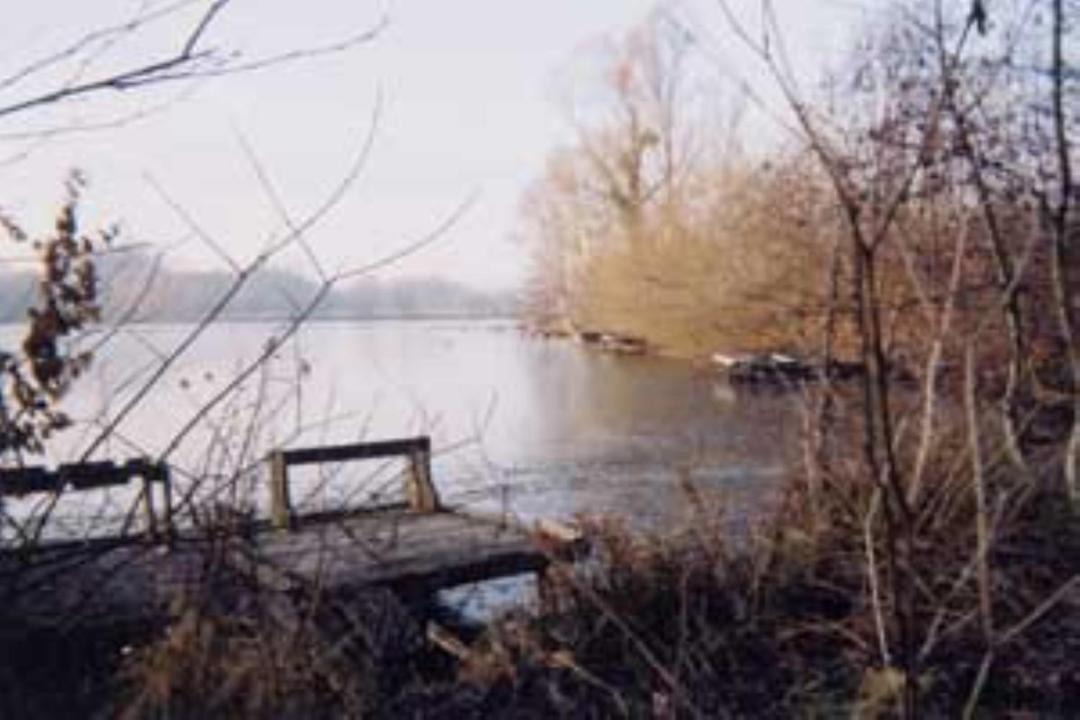 Photo of Others in Saint-Felix