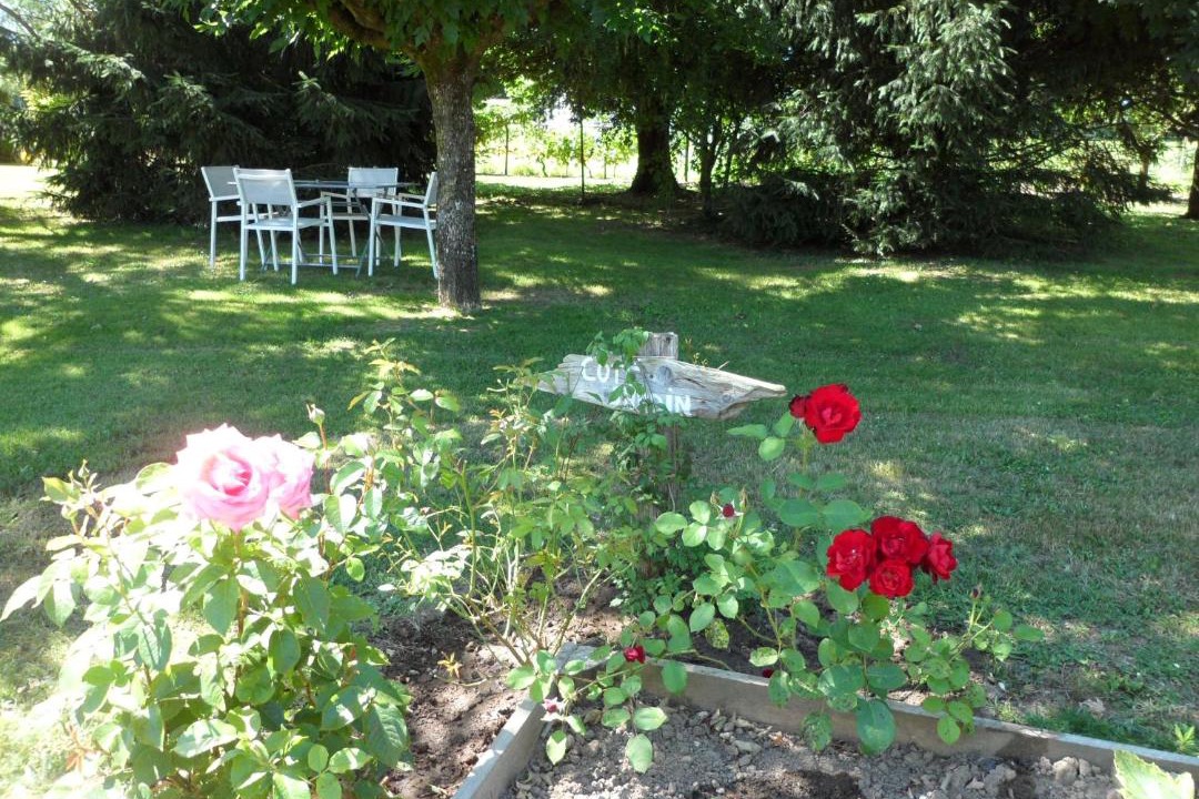 Photo of Others in Thaims