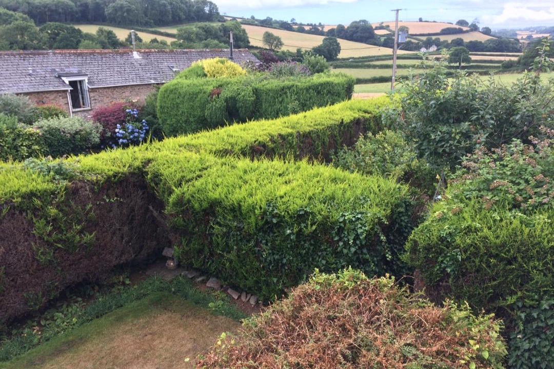 Photo of Others in Newton Ferrers