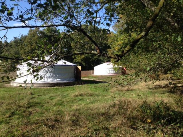 Photo of Others in Peyrat-le-Chateau