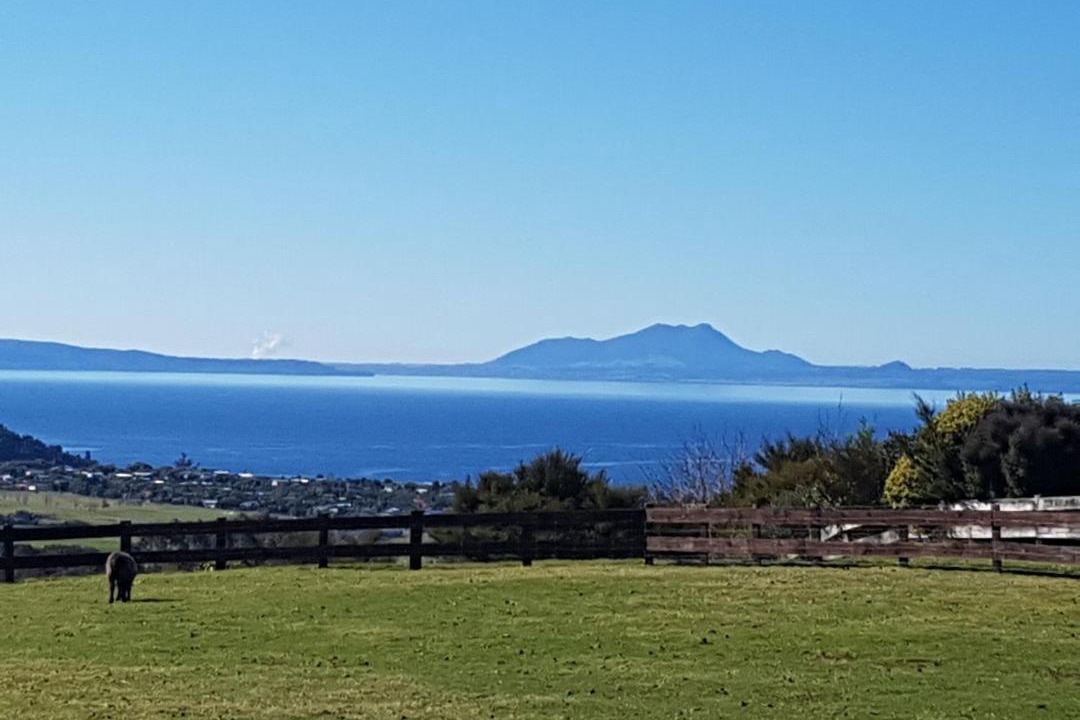 Photo of Outdoor in Omori