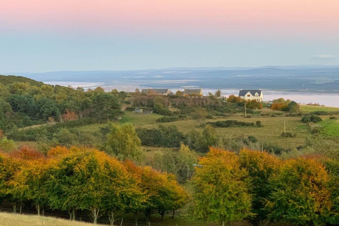 Photo of Others in Fortrose