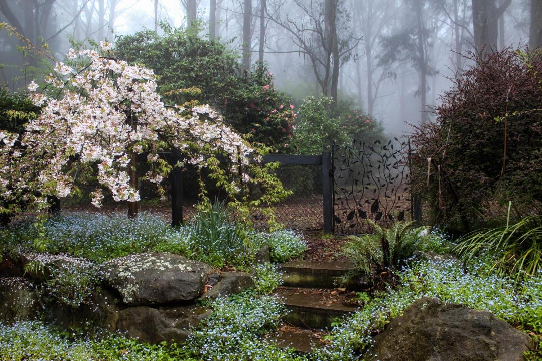 Photo of Others in Mount Tomah