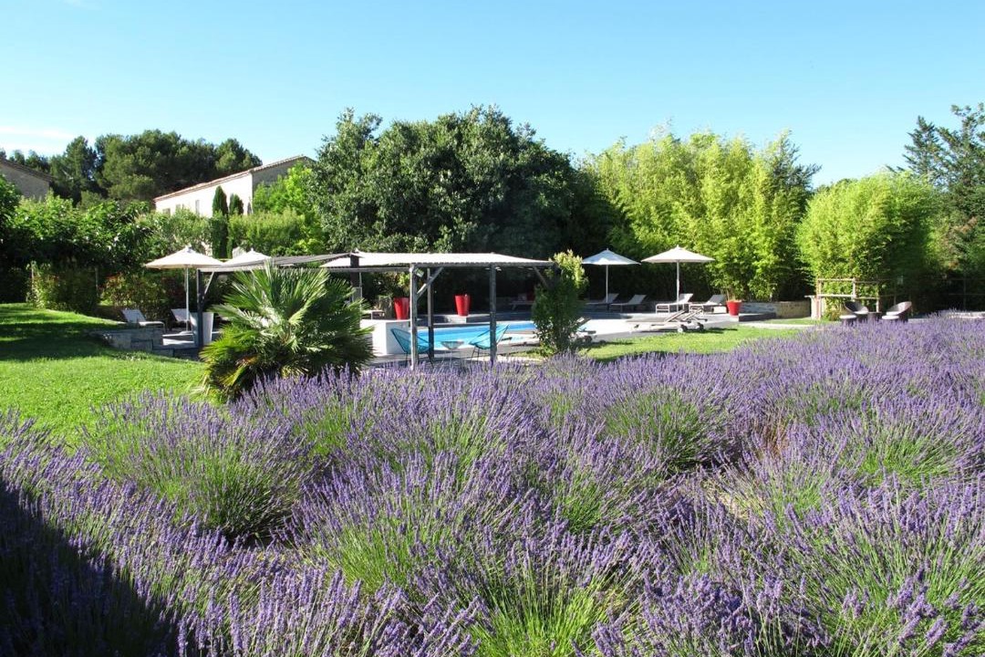 Photo of Others in Lagnes