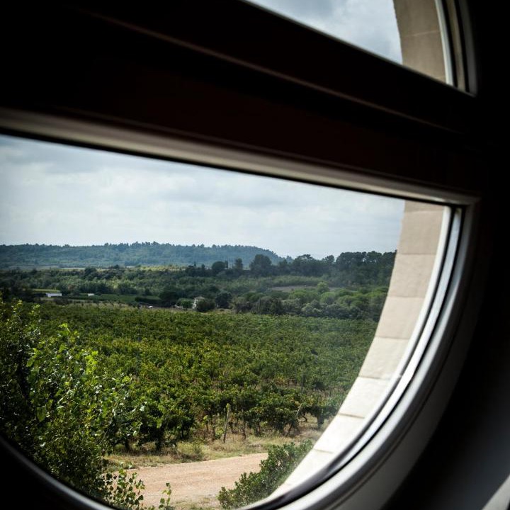 Photo of Others in Conques-sur-Orbiel