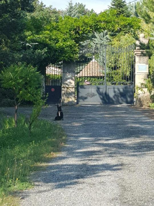 Photo of Others in Lardier-et-Valenca