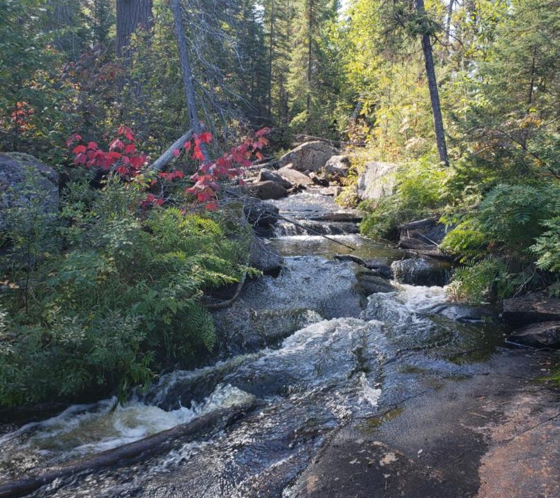 Photo of Others in Wawa