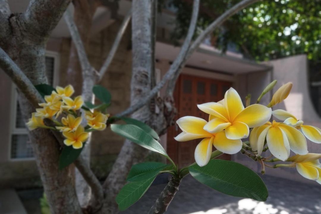 Photo of Patio Balcony in Mlati