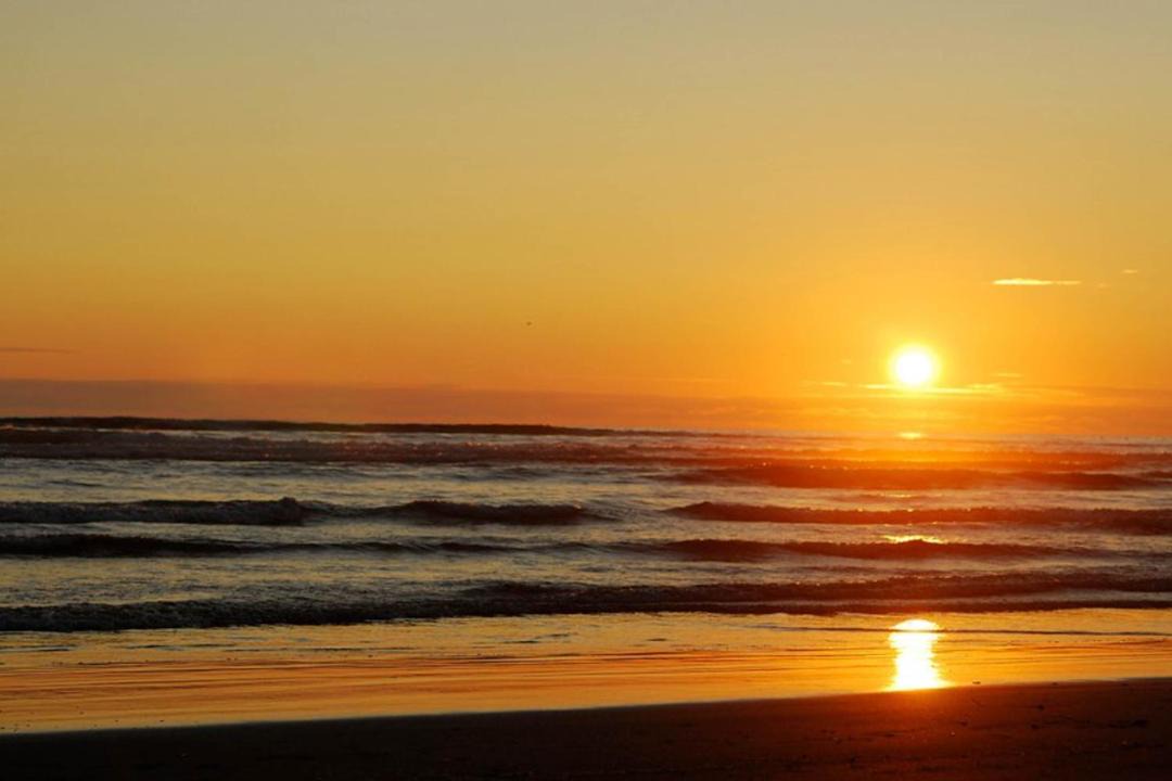 Photo of Others in Moclips