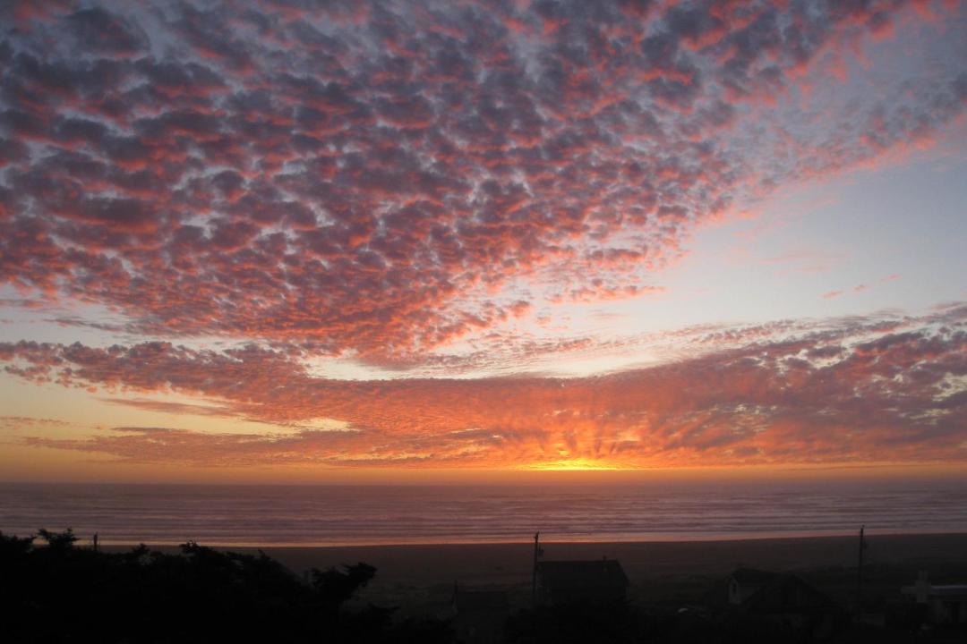 Photo of Others in Moclips