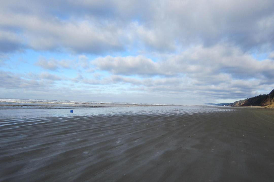 Photo of Others in Moclips