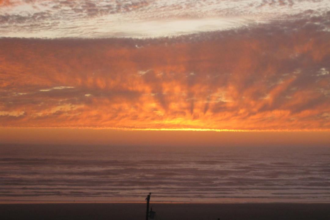 Photo of Others in Pacific Beach