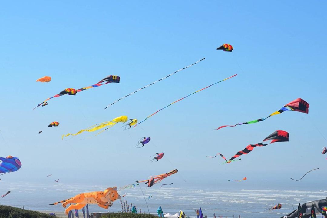 Photo of Others in Pacific Beach