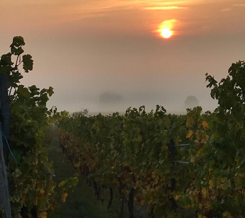 Photo of Outdoor in Le Hohwald