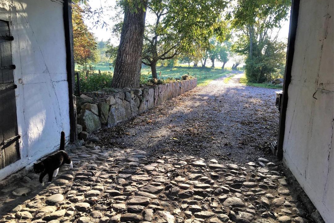 Photo of Others in Kerteminde