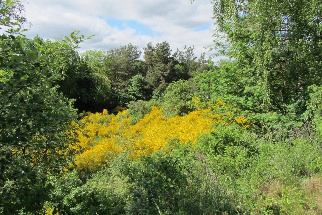 Photo of Outdoor in Ebeltoft