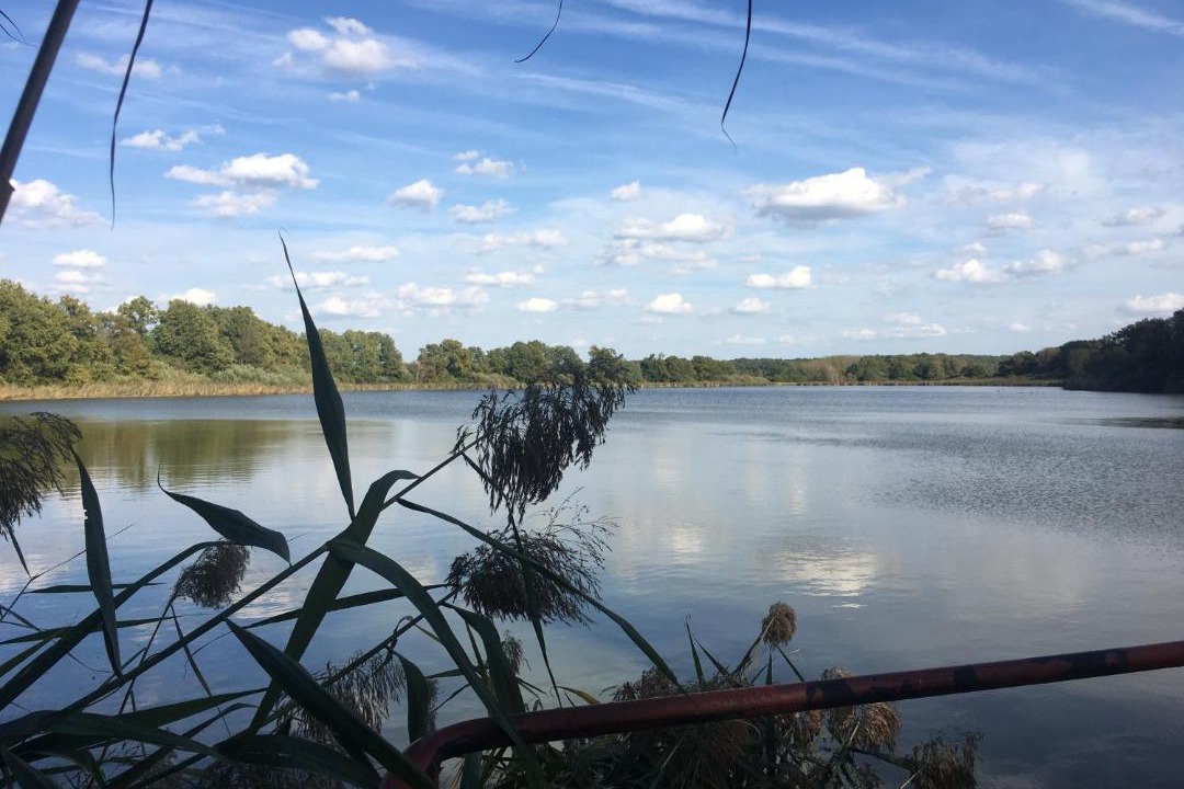 Photo of Others in Louze