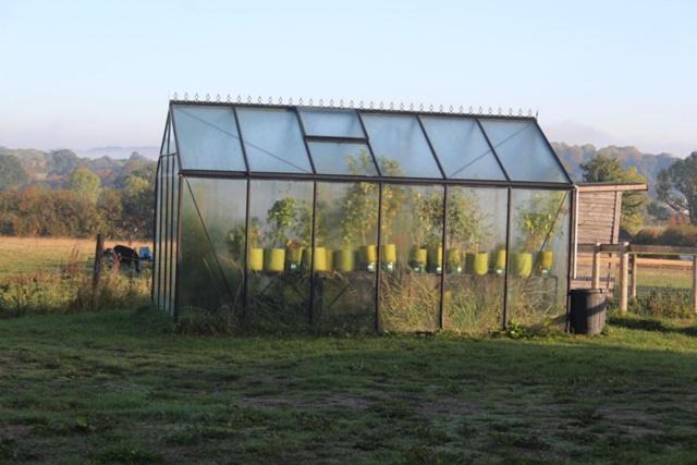 Photo of Others in Corton