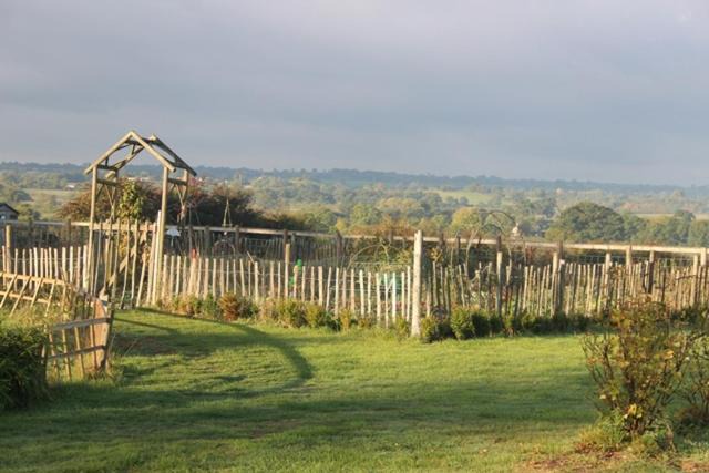 Photo of Others in Corton