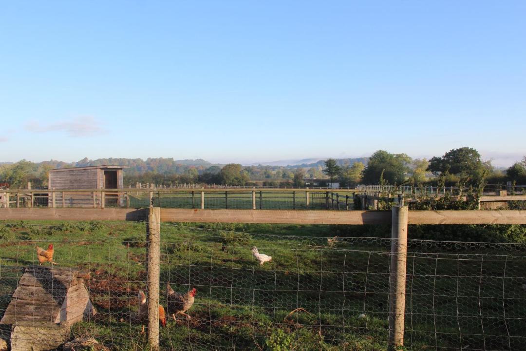 Photo of Others in Corton