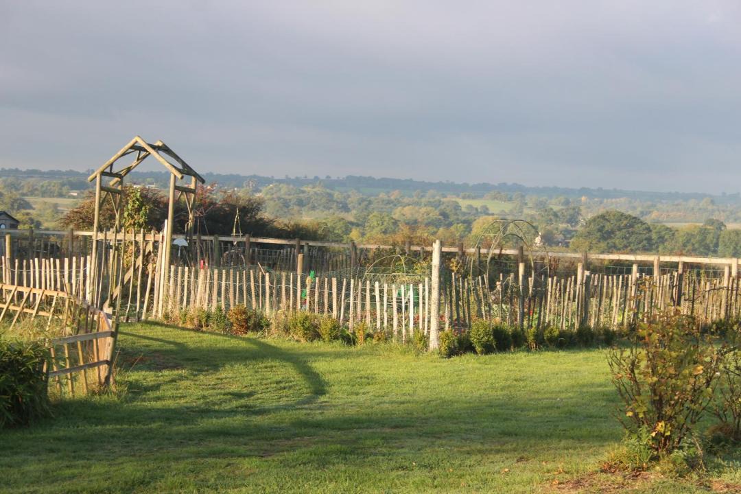 Photo of Others in Corton