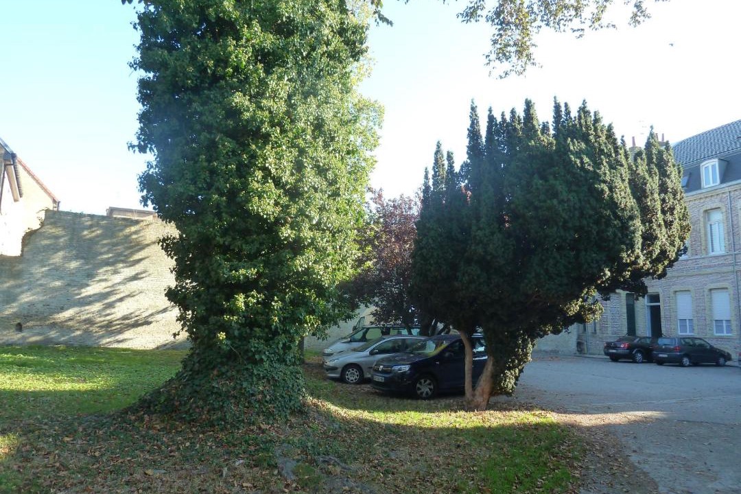 Photo of Others in Bergues