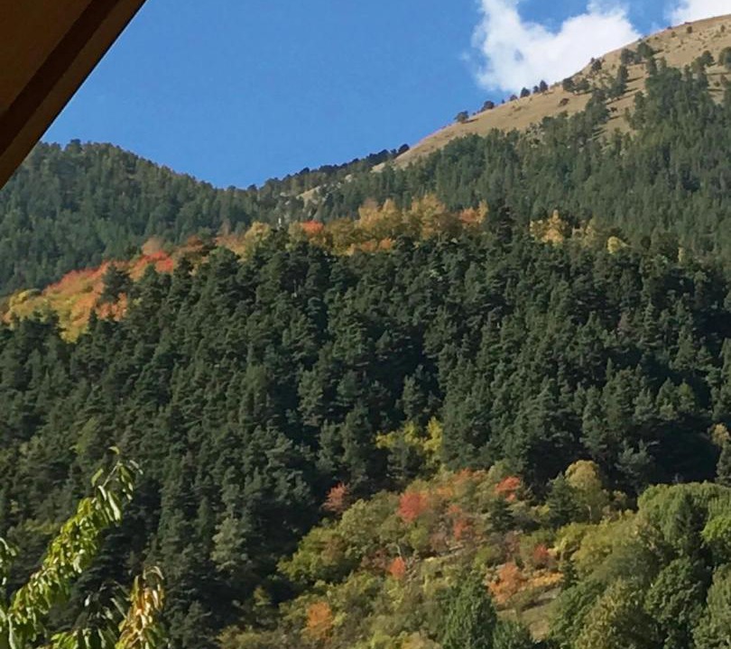 Photo of Others in Saint-Martin-Vesubie