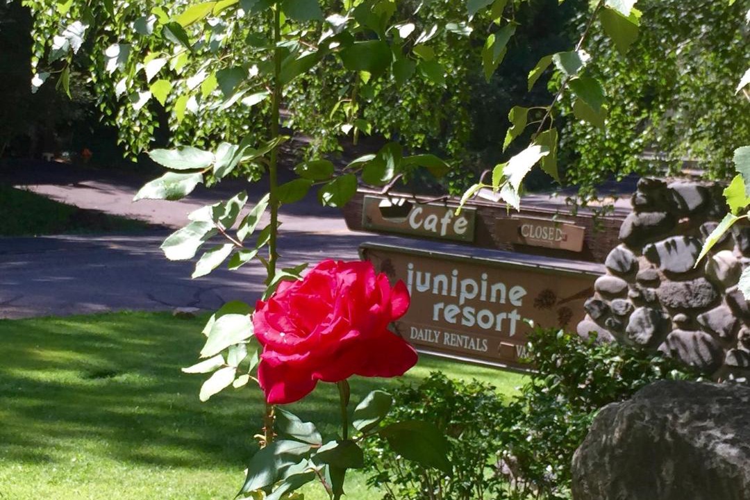 Photo of Others in Sedona