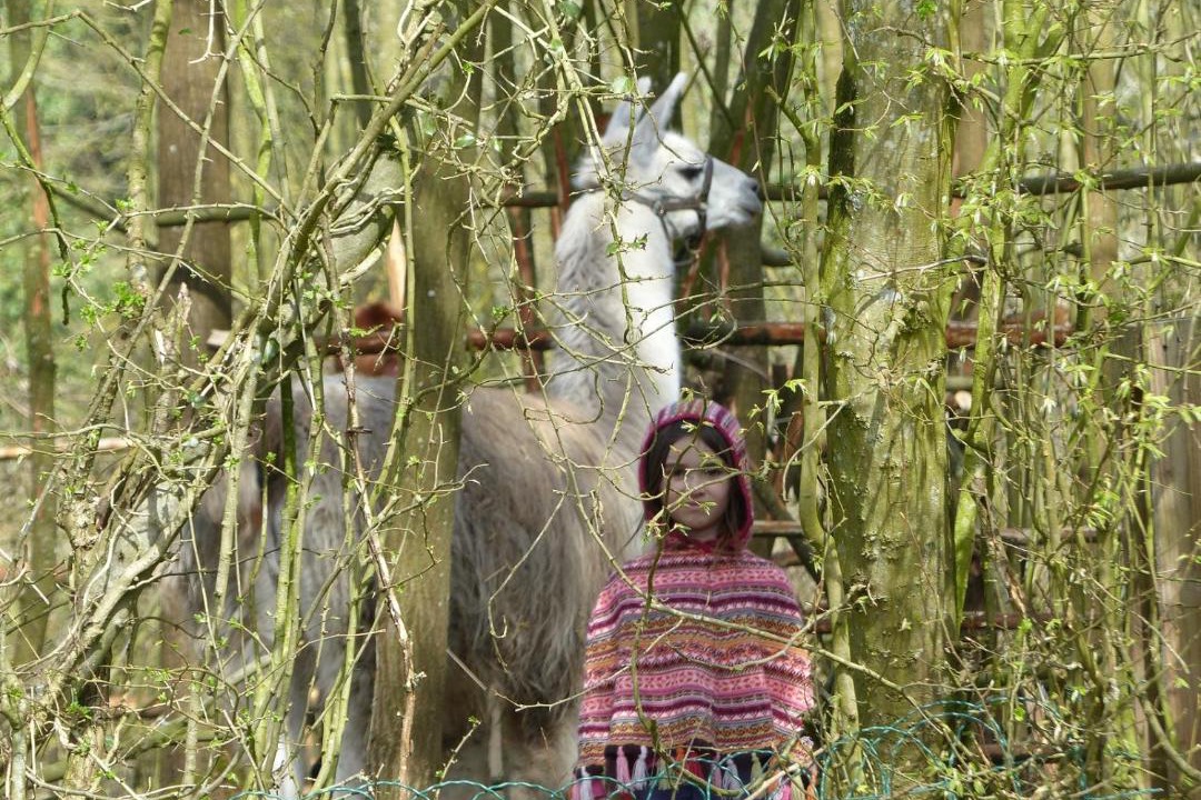 Photo of Others in Canaples