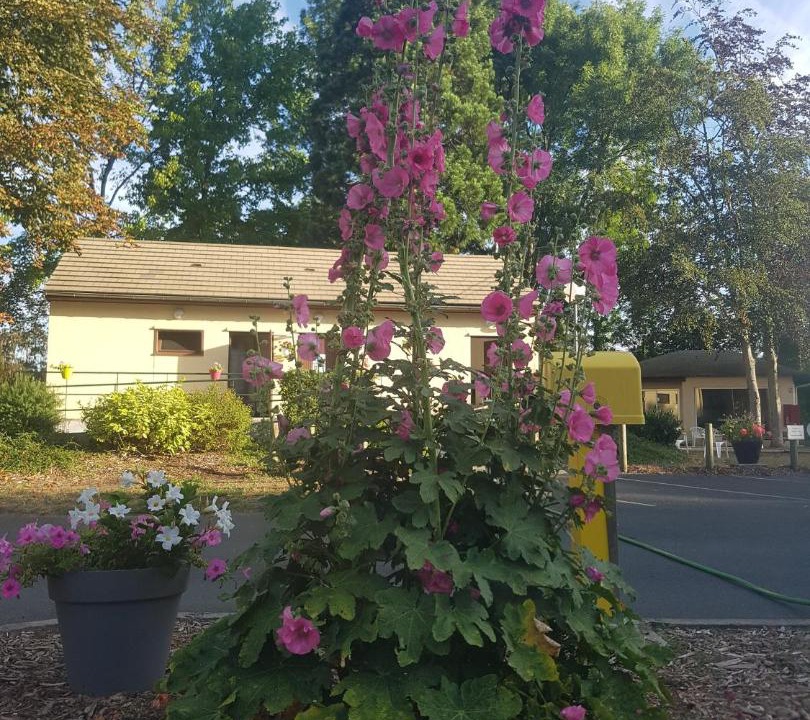 Photo of Others in Chateauroux