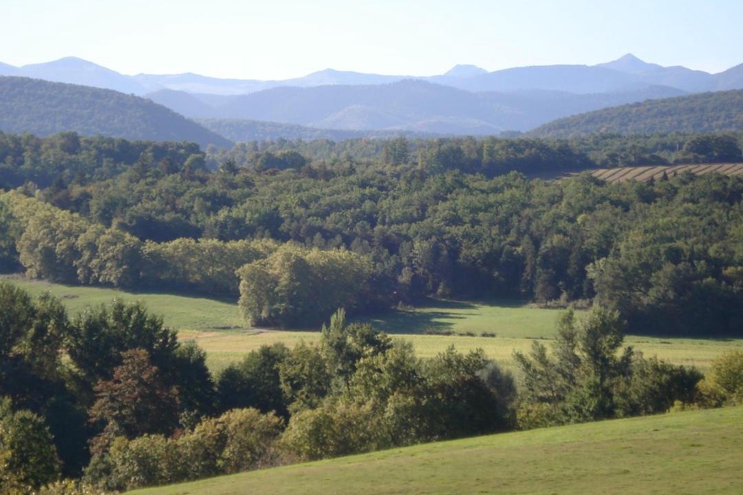 Photo of Others in Regat