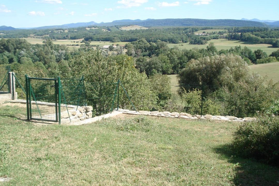 Photo of Others in Regat